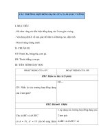 CÁC TRƯỜNG HỢP ĐỒNG DẠNG CỦA TAM GIÁC VUÔNG pptx