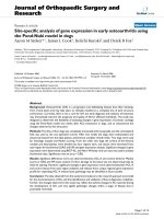 báo cáo hóa học: