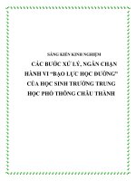 Các bước xử lý, ngăn chặn hành vi “Bạo lực học đường” của học sinh trường Trung học Phổ thông Châu Thành