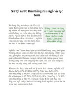 Xử lý nước thải bằng rau ngổ và lục bình ppt