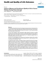 Health and Quality of Life Outcomes BioMed Central Review Open Access Impact of Nausea and potx