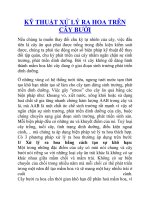 KỸ THUẬT XỬ LÝ RA HOA TRÊN CÂY BƯỞI potx