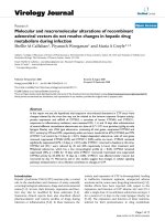 Báo cáo hóa học: 