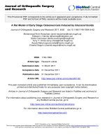 báo cáo hóa học: