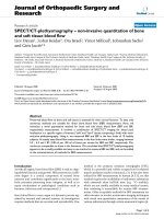 báo cáo hóa học: