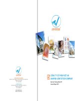 báo cáo thường niên 2011 công ty cổ phần việt an