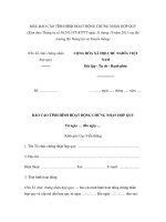 MẪU BÁO CÁO TÌNH HÌNH HOẠT ĐỘNG CHỨNG NHẬN HỢP QUY potx