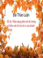 Nhận dạng phân tích đo lường và kiểm soát tài trợ rủi ro của doanh nghiệp.