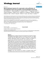 Báo cáo hóa học: 