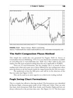 Getting Started in Currency Trading Winning in Today''''s Forex Market_8 potx