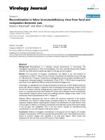 Báo cáo hóa học: 