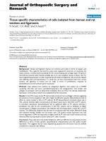 báo cáo hóa học: