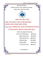 Quy trình sản xuất enzyme pectinase và ứng dụng trong làm nước quả