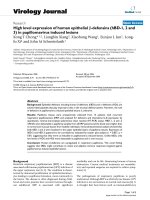 Báo cáo hóa học: 