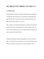 KỸ THUẬT GÂY TRỒNG CÂY MĂC CA potx