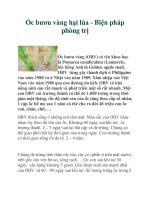 Ốc bươu vàng hại lúa - Biện pháp phòng trị pdf