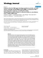 Báo cáo hóa học: 