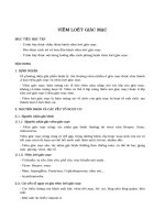 Viêm loét giác mạc pdf