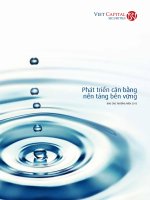 phát triển cân bằng nền tảng bền vững báo cáo thường niên 2013