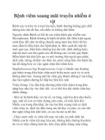 Bệnh viêm xoang mũi truyền nhiễm ở vịt docx