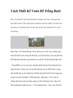 Cách Thiết Kế Vườn Để Trồng Bưởi doc