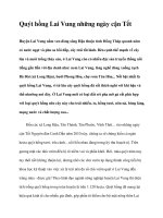 Quýt hồng Lai Vung những ngày cận Tết potx