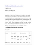 Nghiên cứu khoa học 