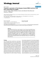 Báo cáo hóa học: 