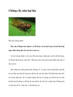 Chống rầy nâu hại lúa pdf