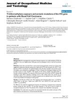 Báo cáo hóa học: 