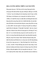 HOA XƯƠNG RỒNG TRÊN CAO NGUYÊN docx