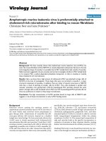 Báo cáo hóa học: 