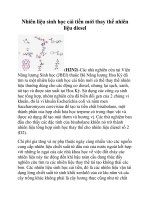 Nhiên liệu sinh học cải tiến mới thay thế nhiên liệu diesel pot