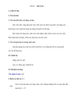 Tiết 07: BÀI TẬP . ppt