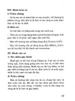 Kỹ thuật nuôi cá mú part 10 doc