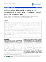 báo cáo hóa học: