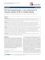 báo cáo hóa học: 