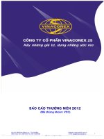 báo cáo thường niên 2012 công ty cổ phần vinaconex 25 xây những giá tri dựng những ước mơ