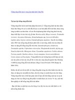 Nghiên cứu khoa học 