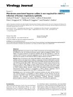 Báo cáo hóa học: 