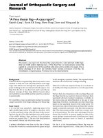 báo cáo hóa học: