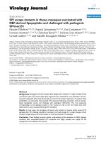 Báo cáo hóa học: 