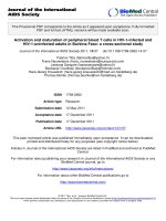 báo cáo hóa học: