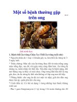 Một số bệnh thường gặp trên ong potx