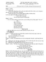 thi HSG lớp 5 2010-2011 PGD pot