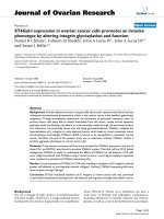 báo cáo hóa học: