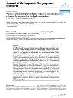 báo cáo hóa học: