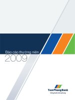 báo cáo thường niên 2009 tienphongbank vững bước tiên phong