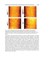 Biomedical Engineering Trends Research and Technologies Part 17 pdf