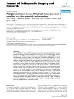 báo cáo hóa học: